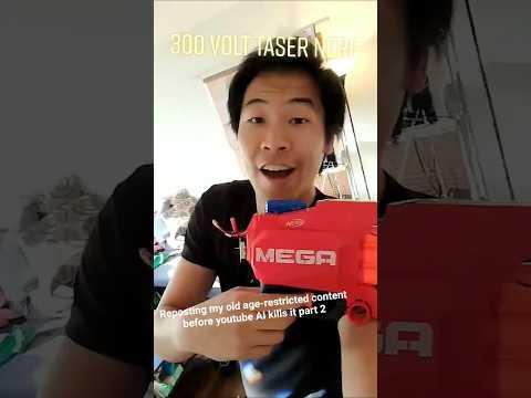 300volt Taser Nerf Darts