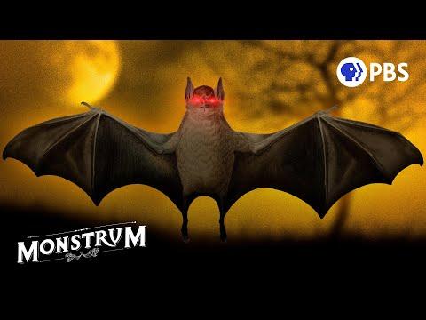 The Deep Halloween Lore You Probably Don’t Know