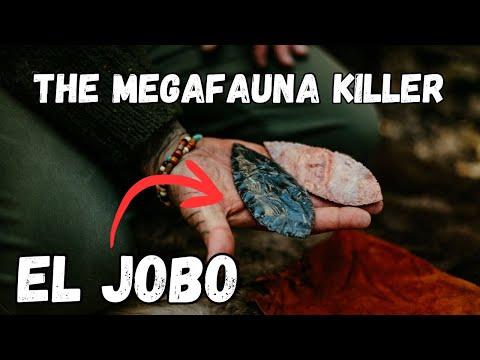 The MEGAFAUANA Killer | El Jobo Spear #flintknapping #archeology #survival #stoneage #hunting