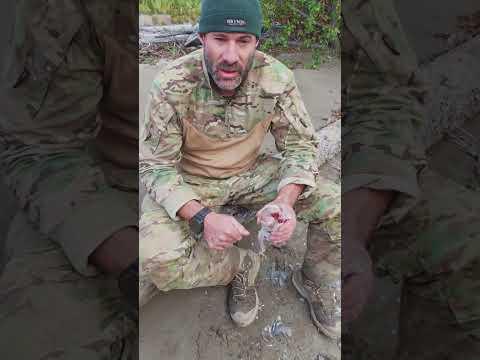 Der Unterschied ist wirklich krass