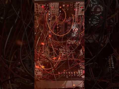 the #gamutrepetitor from #noiseengineering is a generative powerhouse! #shaban