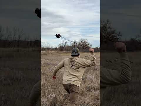BOLA Throws On Goose Target #survival #primitiveskills #ancientwisdom #bola #weaponhistory #diybola