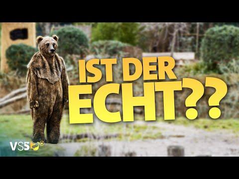 Halb Mensch, halb Bär - Unglaubliche Szenen aus dem Krefelder Zoo | Verstehen Sie Spaß?