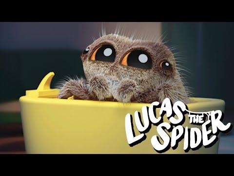 Lucas the Spider Alone in The House at Night + More Cartoons for Kids