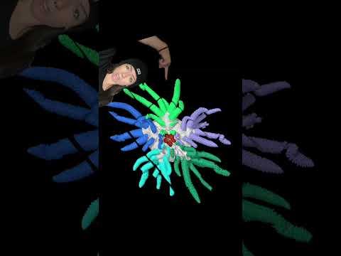 i bet you’ve never heard of them