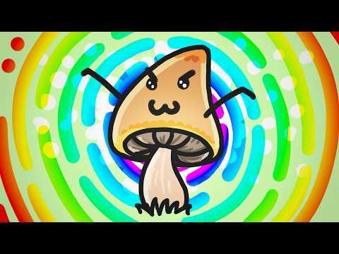 Do Mushrooms Benefit from Being Hallucinogenic?