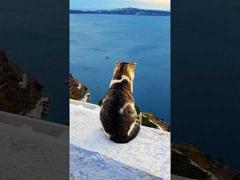 Santorini is So Beautiful