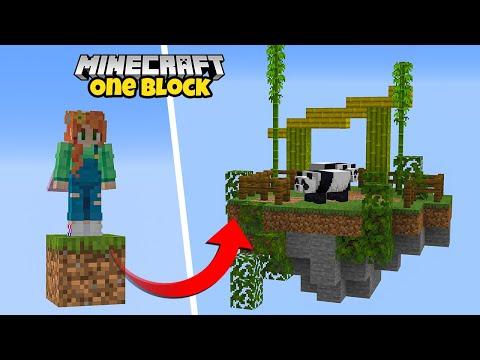 Building a ZOO in ONE BLOCK Minecraft!