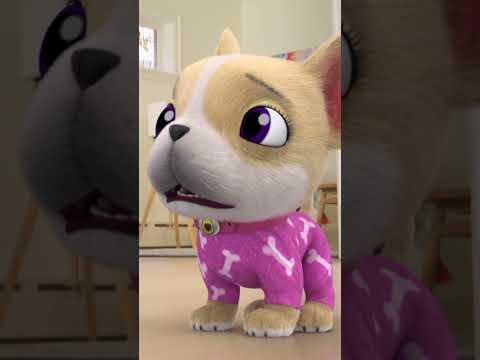 When Avocado The Puppy Miss Her Walkies #lucasthespider #friends #puppy