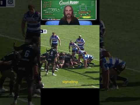 How Toulon Tore the Stormers Apart Out Wide  Champions Cup Breakdown