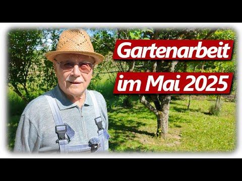 Gartenarbeit Mai | Feigen & Weinreben Pflege, Trockenheit, Gießen, Erdbeeren und mehr