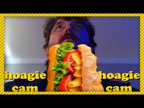 The debut of the Hoagie Cam (Fallout 4 Any% Speedruns)