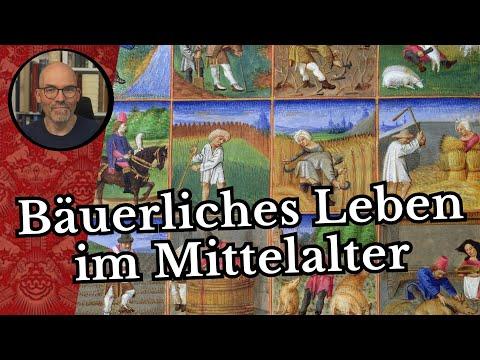 Ein Jahr im Mittelalter - Bäuerliches Leben in Kalenderbildern