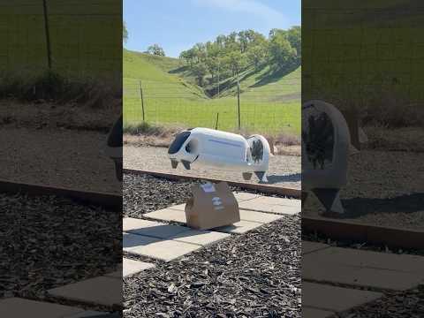 A DRONE Delivers Lunch