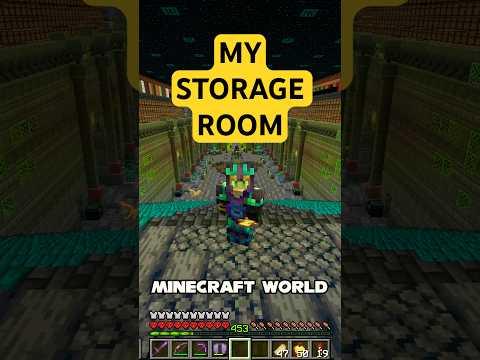 You've Never Seen a Storage Room Like This in Minecraft