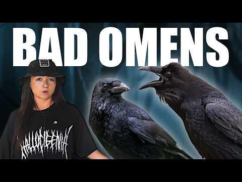 Why These Creatures Were Seen as Cursed | Lindsay Nikole