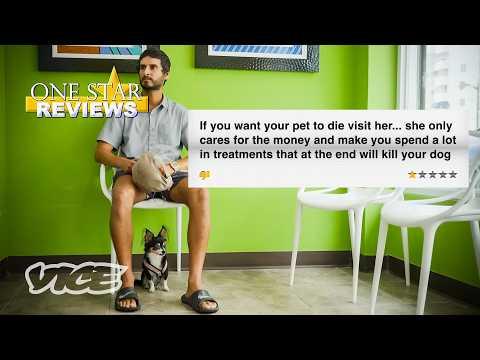 Taking My Dog To One Of The World's Most HATED Vets - One Star Reviews