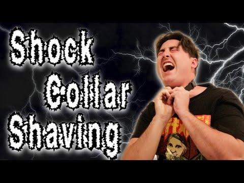 Shock Collar Shaving