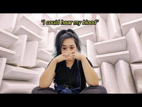 I Survived Japan's Quietest Room