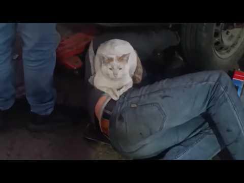 UNUSUAL MEMES COMPILATION V350