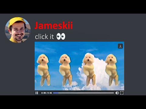 The Most Unusual Discord Videos 13