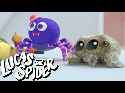 Lucas the Spider Has a New Spider Friend + More Cartoons for Kids