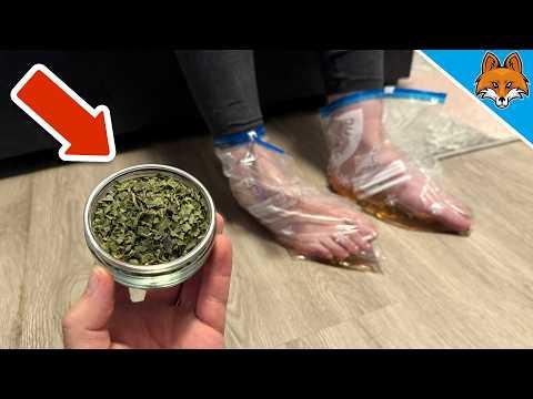 Streue DAS auf deine Füße und STAUNE WAS PASSIERT💥(Genialer Trick)🤯
