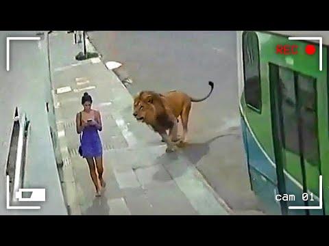 Momente, in denen etwas schief gelaufen ist