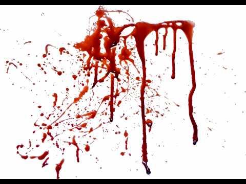 Doing a silly stream for this silly world