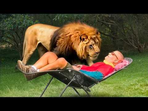 Gefährliche Tiere beim Freundlichsein erwischt