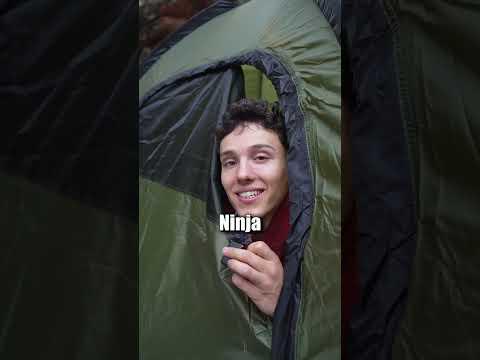 Neues Zuhause ⛺️ #woodwalkers