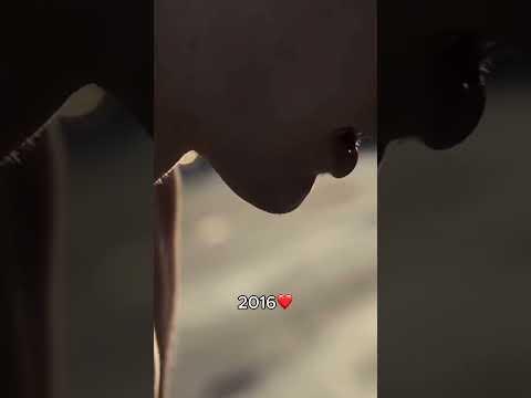 2016 kam unser Album "Alles nix konkretes" raus