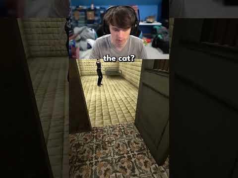 A cat silencer huh? Right.