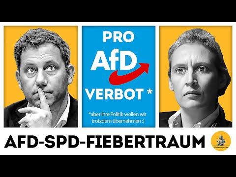 Heuchlerisch: SPD stimmt FÜR AfD-Verbot, aber beschließt Gesetz MIT AfD?!