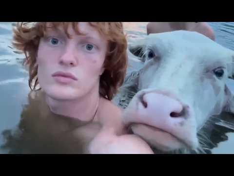 UNUSUAL MEMES COMPILATION V364