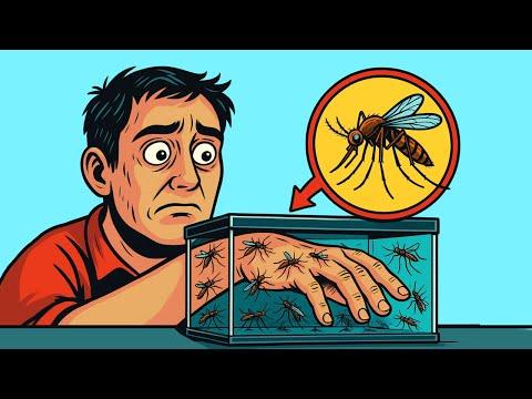 Das passiert mit deinem Körper bei 1000 Mückenstichen