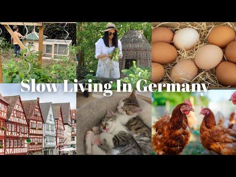 Germany Wasn't What I Had Imagined 🇩🇪 The Unexpected Reality of My German Life As A New Zealander