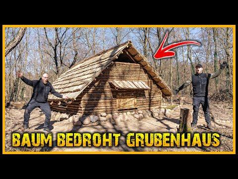 Überleben im Wald: Baum bedroht unser Grubenhaus – So haben wir ihn gefällt! - Bushcraft Survival