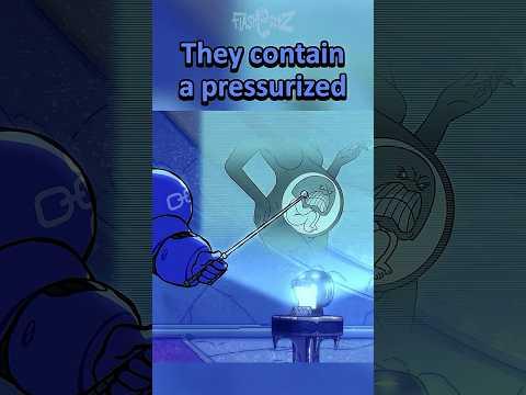 Women Were Created Because…