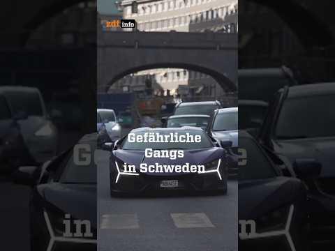 Das sind Schwedens Gang-Bosse #zdfinfo #Schweden #Gangs