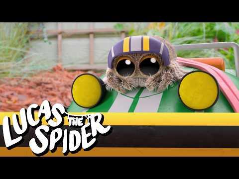 Lucas the Spider Finds a Snake in The Backyard | Kids Cartoon