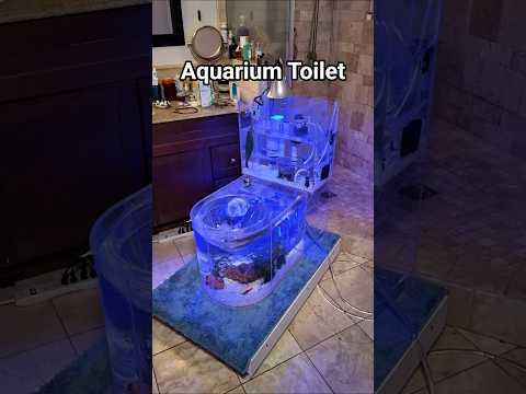 using an Aquarium Toilet