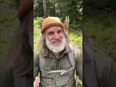 SURVIVAL Scenario - Food and Water #survival #28yearslater #bushcraft #primitiveskills