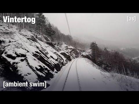 Vintertog | Ambient Swim | adult swim