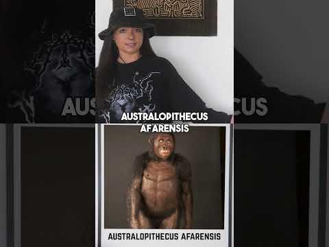 Australopithecus were bipedal… but they weren’t walking alone #hominids #evolution #australopithecus