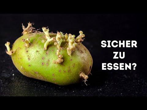 51 Sicherheitstipps, für die Sie sich dankbar sein werden