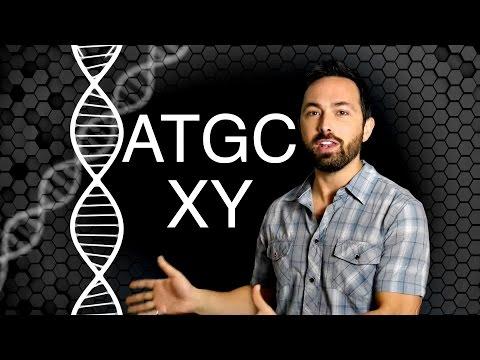 6-Letter DNA!