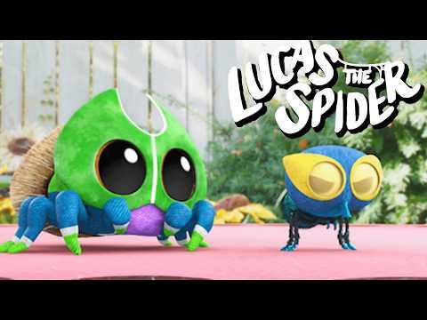 Mighty Boop Takes Credit for EVERYTHING! | Kids Cartoon | Lucas the Spider