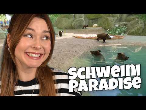 Ein neues Gehege für die Schweinis! 😍 - Planet Zoo: Muckelzoo 125 (Stream vom 22.01.2026)