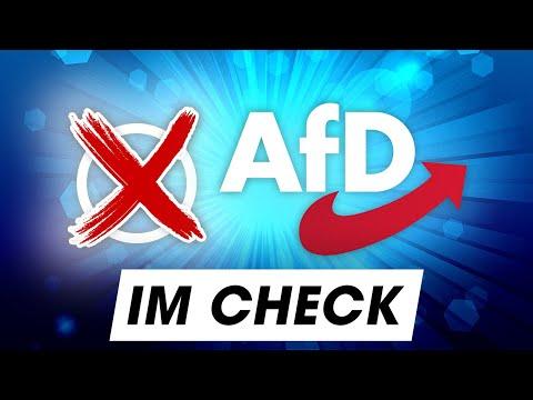 Wahlprogramm: Das will die AFD für dich! | Bundestagswahl 2025